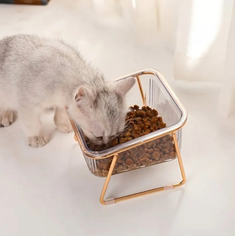 Gamelle chat transparent seul