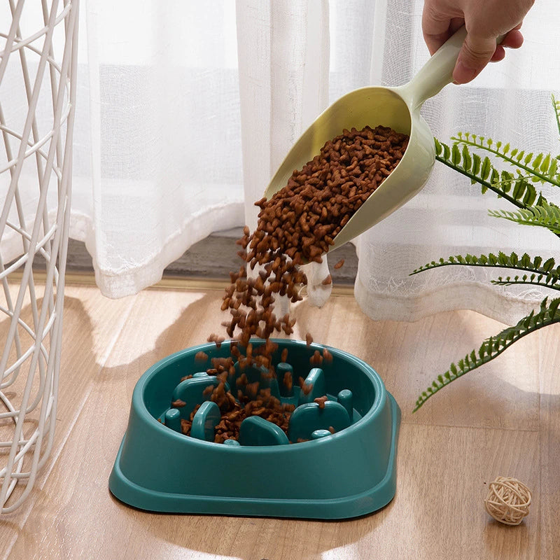 Gamelle anti glouton chaton avec relief labyrinthe