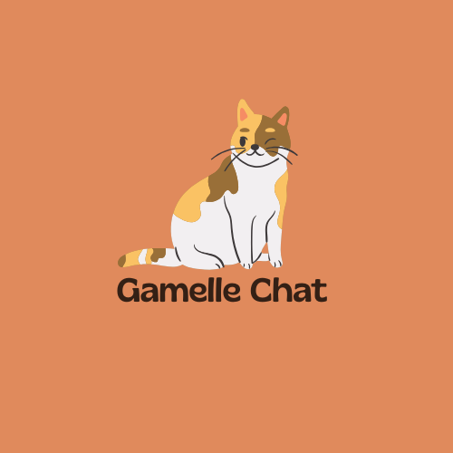 Gamelle chat 